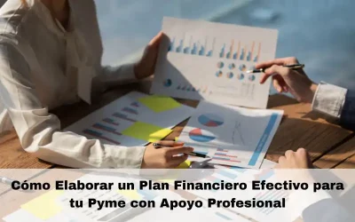 Cómo Elaborar un Plan Financiero